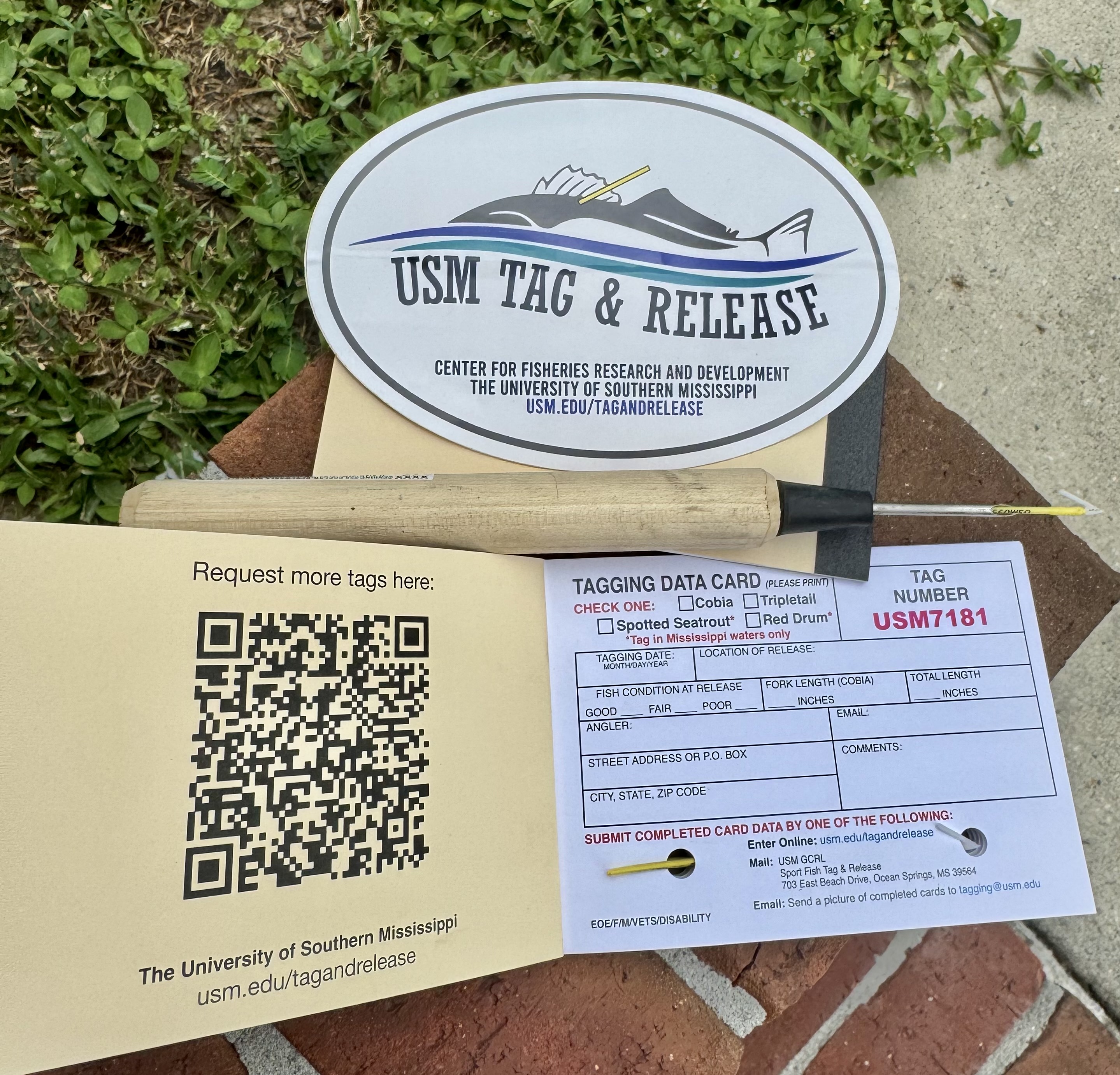 Pick up your fish-tagging supplies before the event at the Gulf Coast Research Laboratory in Ocean Springs, at the Captain’s Meeting, or on tournament day. We encourage early pickup so you can practice tagging before the tournament!